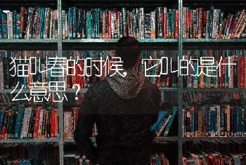 猫叫春的时候，它叫的是什么意思？