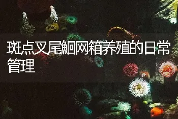 斑点叉尾鮰网箱养殖的日常管理