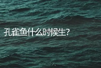 孔雀鱼什么时候生？