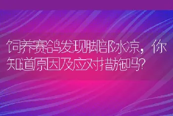 饲养赛鸽发现脚部冰凉，你知道原因及应对措施吗？