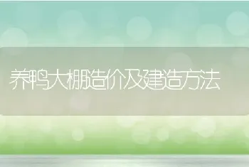 养鸭大棚造价及建造方法