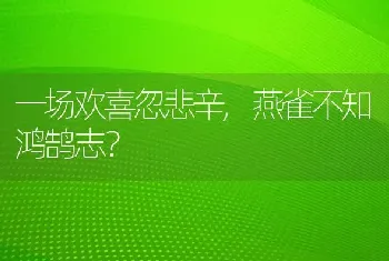 一场欢喜忽悲辛,燕雀不知鸿鹄志？