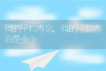 狗的平均寿命，狗的平均寿命是多少