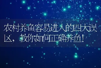 农村养鱼容易进入的四大误区，教你如何正确养鱼！