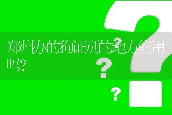 郑州办的狗证别的地方能用吗？