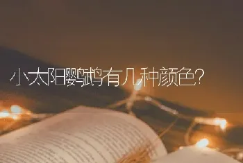 小太阳鹦鹉有几种颜色？