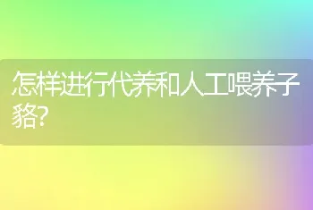 怎样进行代养和人工喂养子貉？