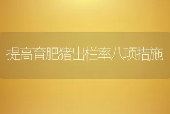 提高育肥猪出栏率八项措施