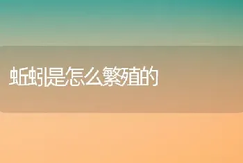 蚯蚓是怎么繁殖的