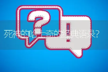 死神的哈士奇的经典语录？