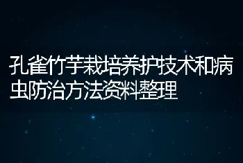 鹌鹑冬季管理要注意五要点