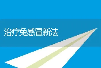 治疗兔感冒新法