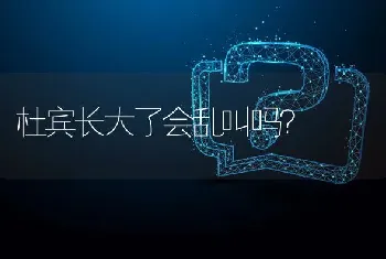 杜宾长大了会乱叫吗？