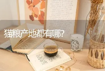 狗是有性生殖还是无性生殖？