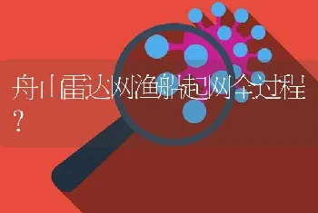 舟山雷达网渔船起网全过程？