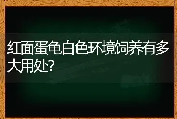 48种极度濒危野生动物目录？