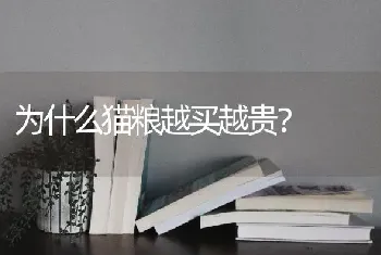 为什么猫粮越买越贵？