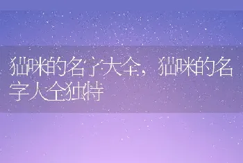 猫咪的名字大全，猫咪的名字大全独特