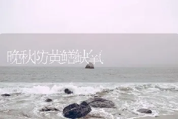 晚秋防黄鳝缺氧