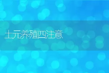 土元养殖四注意