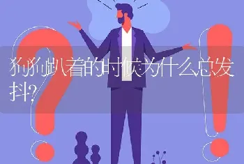 狗狗趴着的时候为什么总发抖？