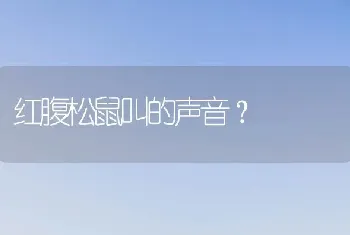 红腹松鼠叫的声音？