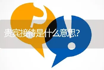 贵宾接待是什么意思？