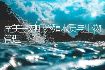 南美白对虾养殖水质与生物管理