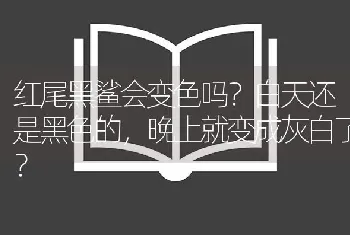 红尾黑鲨会变色吗？白天还是黑色的，晚上就变成灰白了？