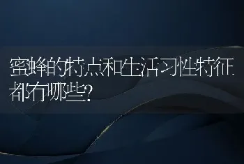 蜜蜂的特点和生活习性特征都有哪些？