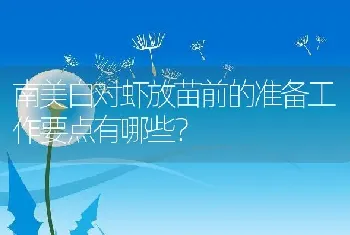 南美白对虾放苗前的准备工作要点有哪些？