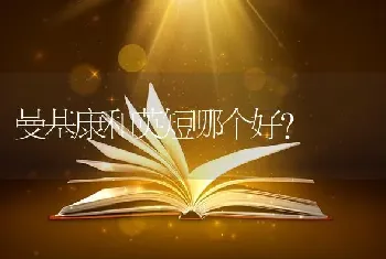 曼基康和英短哪个好？