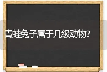 青蛙兔子属于几级动物？