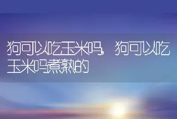 狗可以吃玉米吗，狗可以吃玉米吗煮熟的