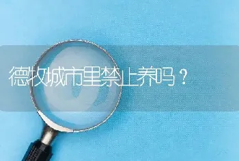 德牧城市里禁止养吗？