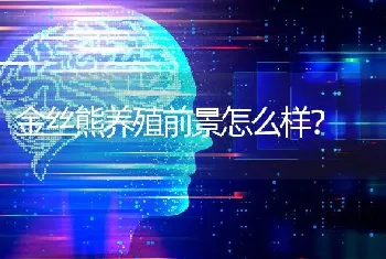 金丝熊养殖前景怎么样？