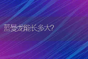 三湖慈鲷全身蓝黑色是什么？