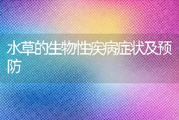 河蟹抖抖病的成因及防治