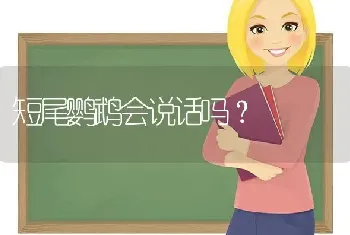 为什么兔子总踢你？