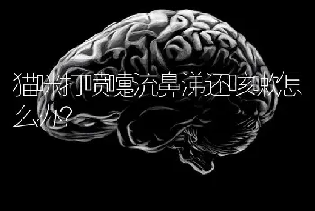 德国牧羊犬一般能活多少年德国牧羊犬的寿命是多久？