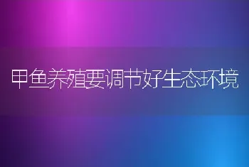 冬养肉鸡五个“不能忘记”