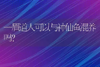 一眉道人可以与神仙鱼混养吗？