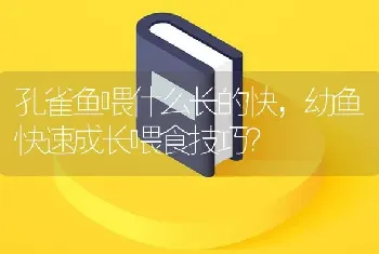 孔雀鱼喂什么长的快，幼鱼快速成长喂食技巧？