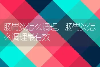 肠胃炎怎么调理，肠胃炎怎么调理最有效