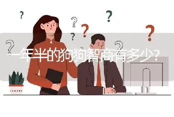 一年半的狗狗智商有多少？