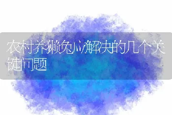 农村养獭兔应解决的几个关键问题