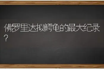 佛罗里达拟鳄龟的最大纪录？