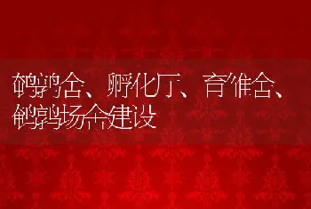 鹌鹑舍、孵化厅、育雏舍、鹌鹑场舍建设