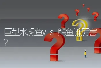 巨型水虎鱼vs鳄鱼谁厉害？