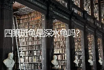 四眼斑龟是深水龟吗？